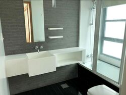 Park Infinia At Wee Nam (D11), Condominium #476521191